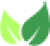 title-icon